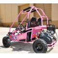 5.5HP 50cc/163cc Kids Offroad gaz Mini Buggy